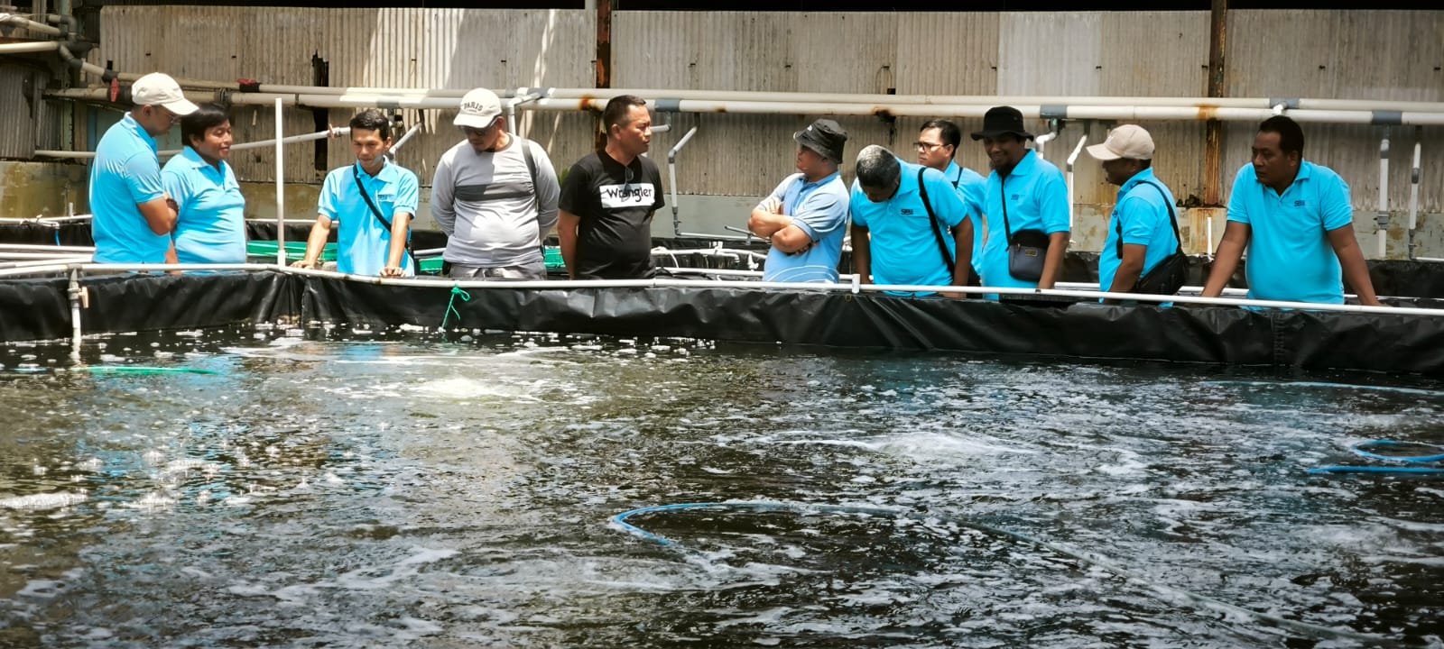 Nursery Pond: Minimalkan Risiko, Percepat Siklus Produksi
